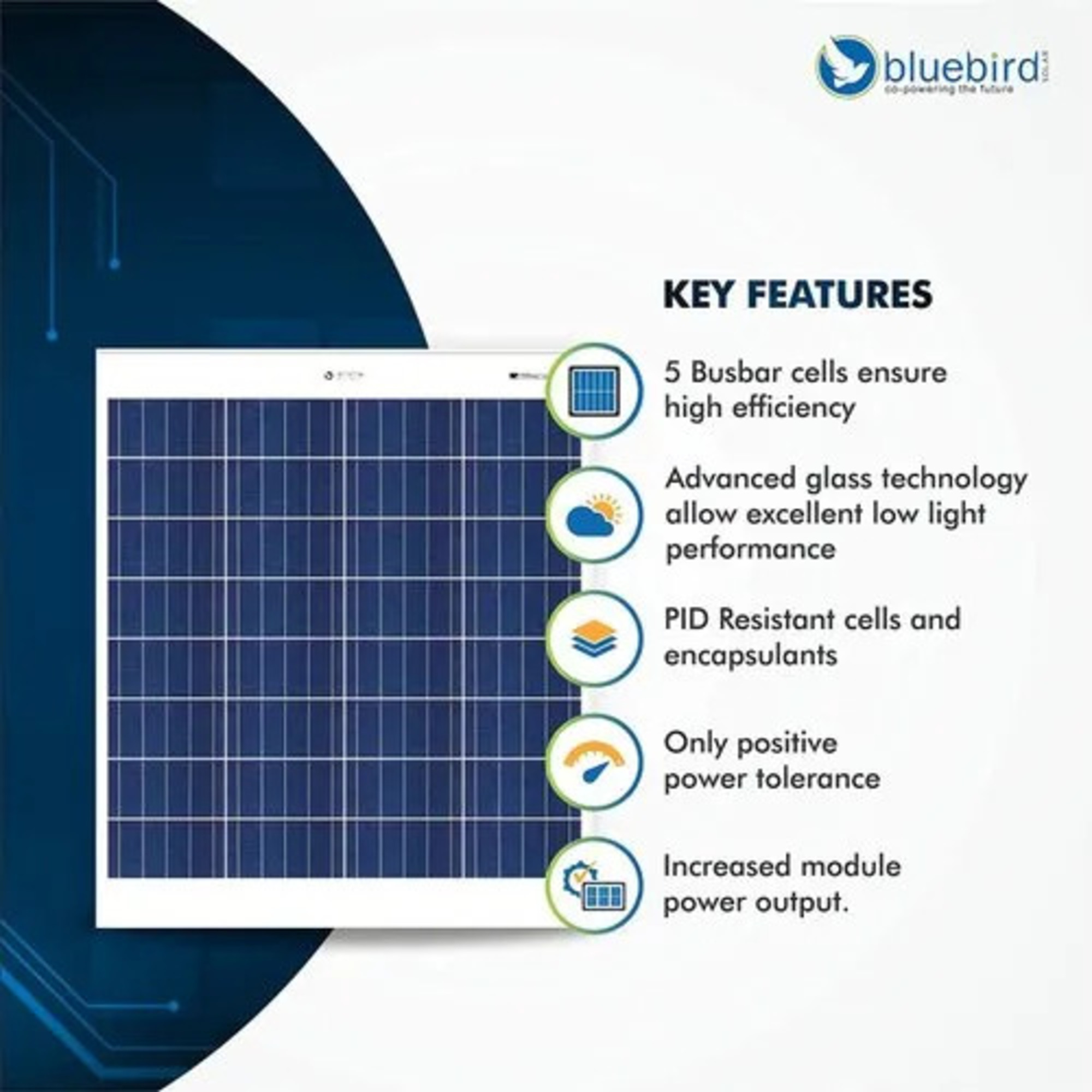 Bluebird Solar - 75 W Polycrystalline Solar Power Panel (Pack of 2)