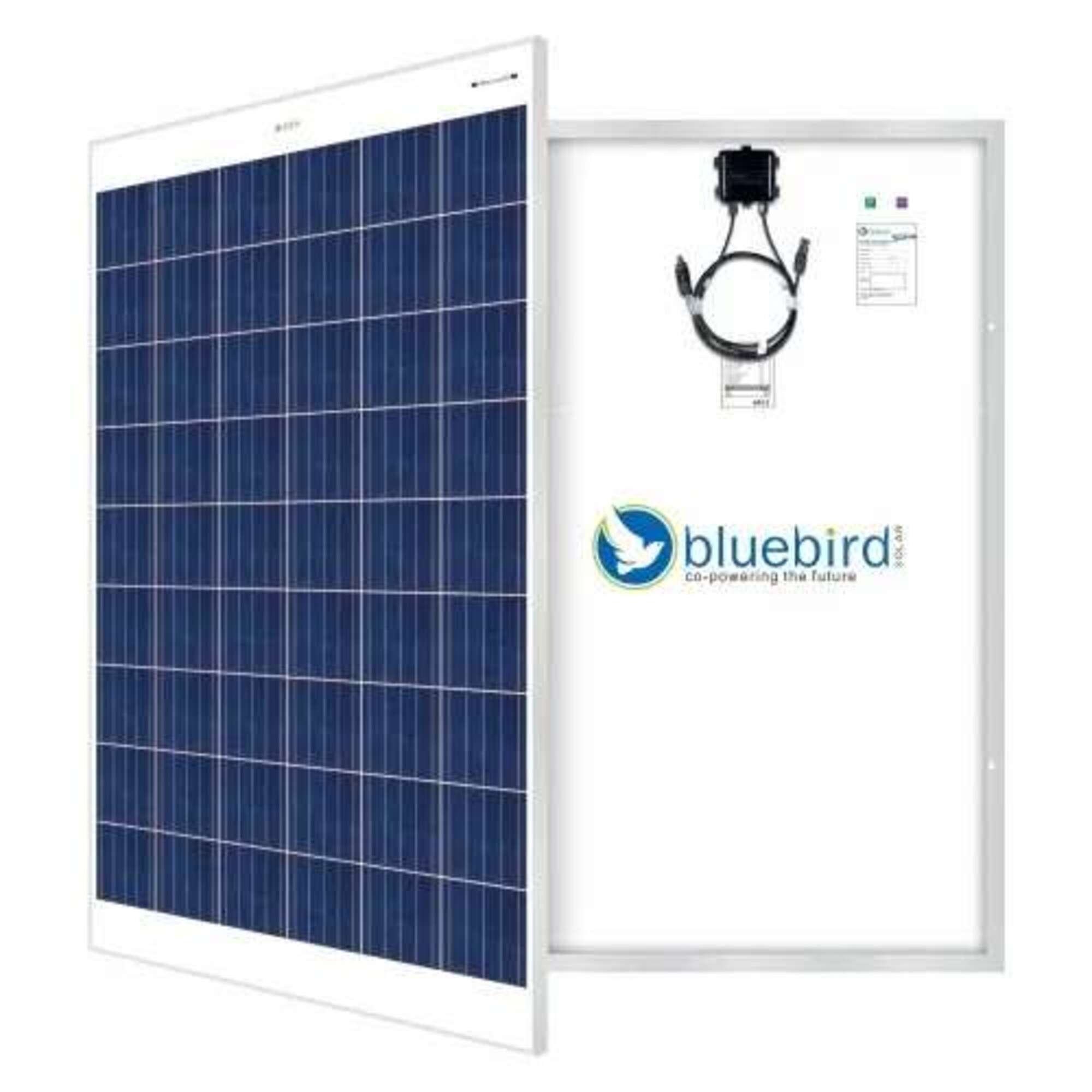 Bluebird 250W Polycrystalline Solar PV Module (Pack of 2)