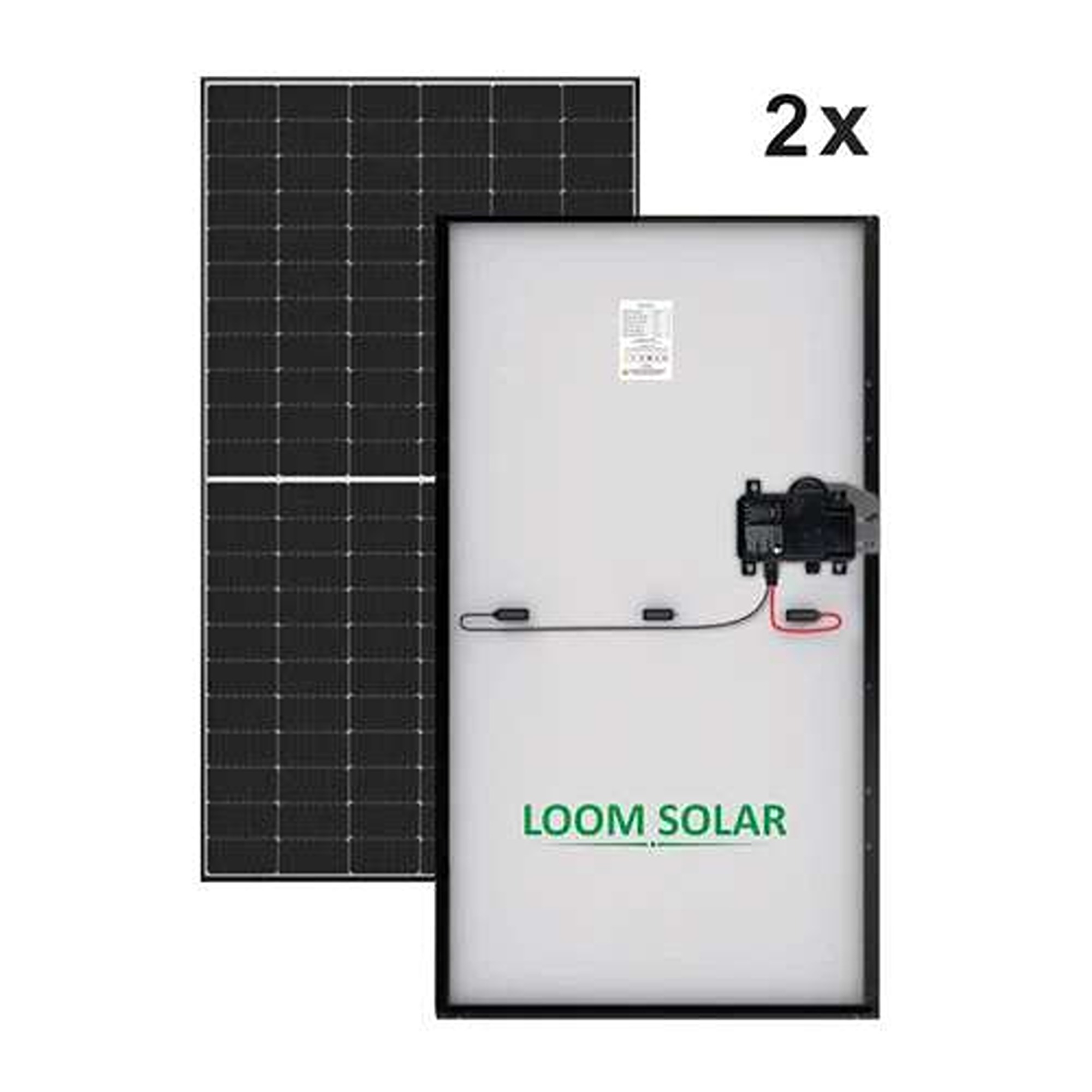 Loom Solar 1 kw Grid connected Solar AC Module